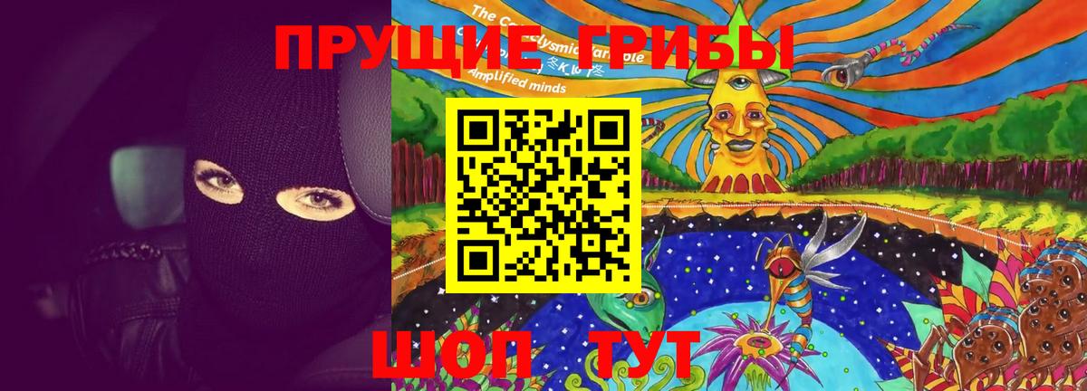 Выборг  Галлюциногенные грибы Psilocybine cubensis  Псилоцибиновые грибы GOLDEN TEACHER  Вход с VPN 