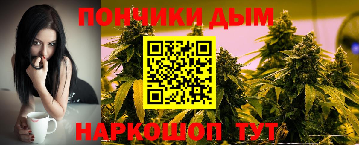 Каннабис ГИДРОПОН  Шишки марихуана сатива  Выборг  Марихуана White Widow  Вход с VPN 